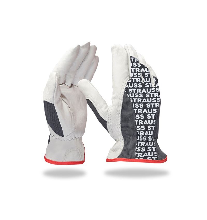 Strauss Nappaleder-Fahrer-Handschuhe Driver Profi Fabrik Onlineshop