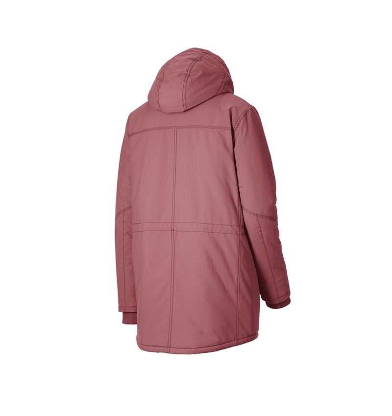 Strauss Parka e.s.iconic, Damen Schlussverkauf