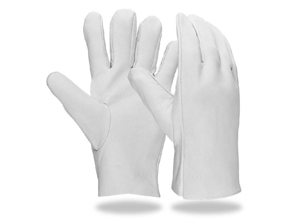 Strauss Nappaleder-Handschuhe Vierteljährliche Förderung