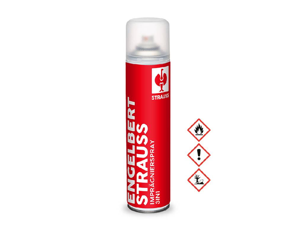 Strauss Schuhreinigungs-Aktions-Set Bis zu 50% Rabatt